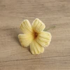 #2 light yellow
