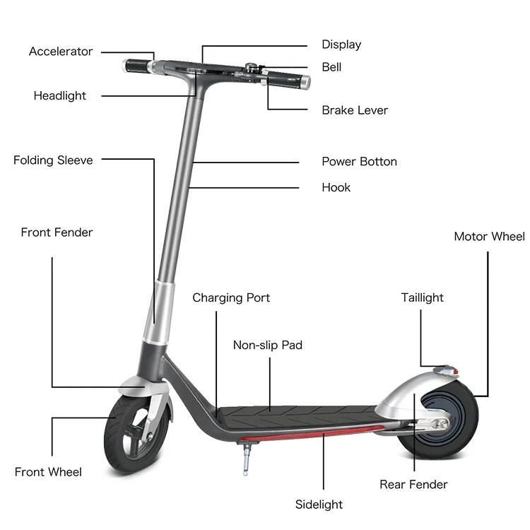 7 foot scooters.jpg