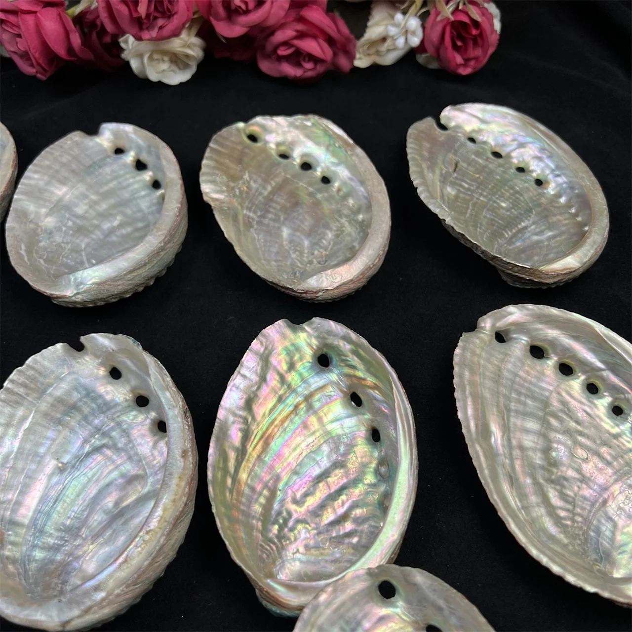 Natural Abalone Shells Home Accessories Conch Shells Aquarium Aquascape