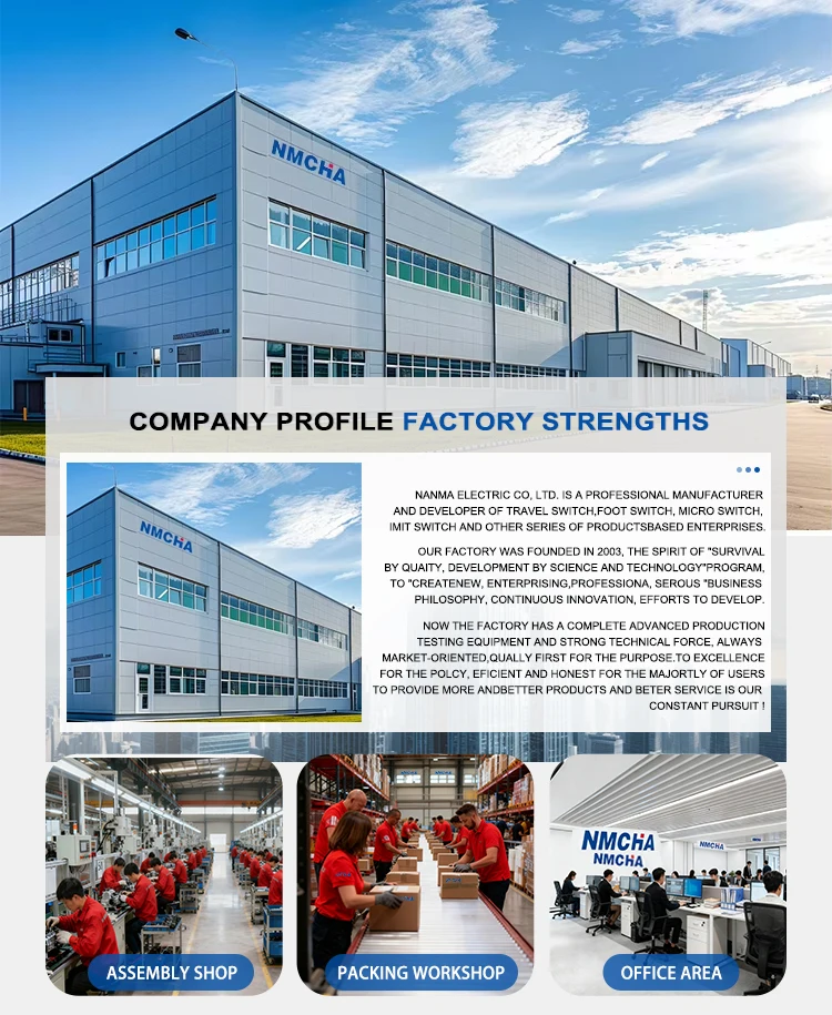 Yueqing Nanma Electrical Co., Ltd.