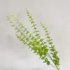 Eucalipto verde chiaro