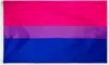 Bisexual