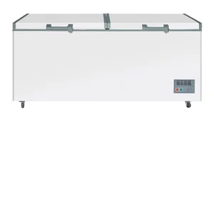 Hot Selling Double Door 600L Chest Freezer Top Open Door Household and Commercial White Customized Chest Deep Freezer