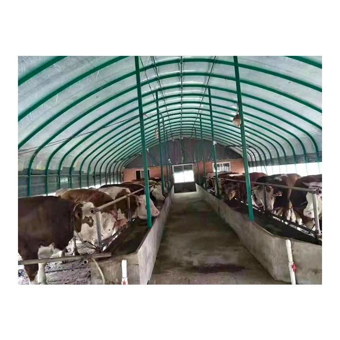 Prefabricated Steel Structure Cowshed Dairy Cow Cattle Farm Shed Barns House Design