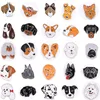 9 coloridos Boeing Retrievers