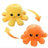 comme sur l'image 4