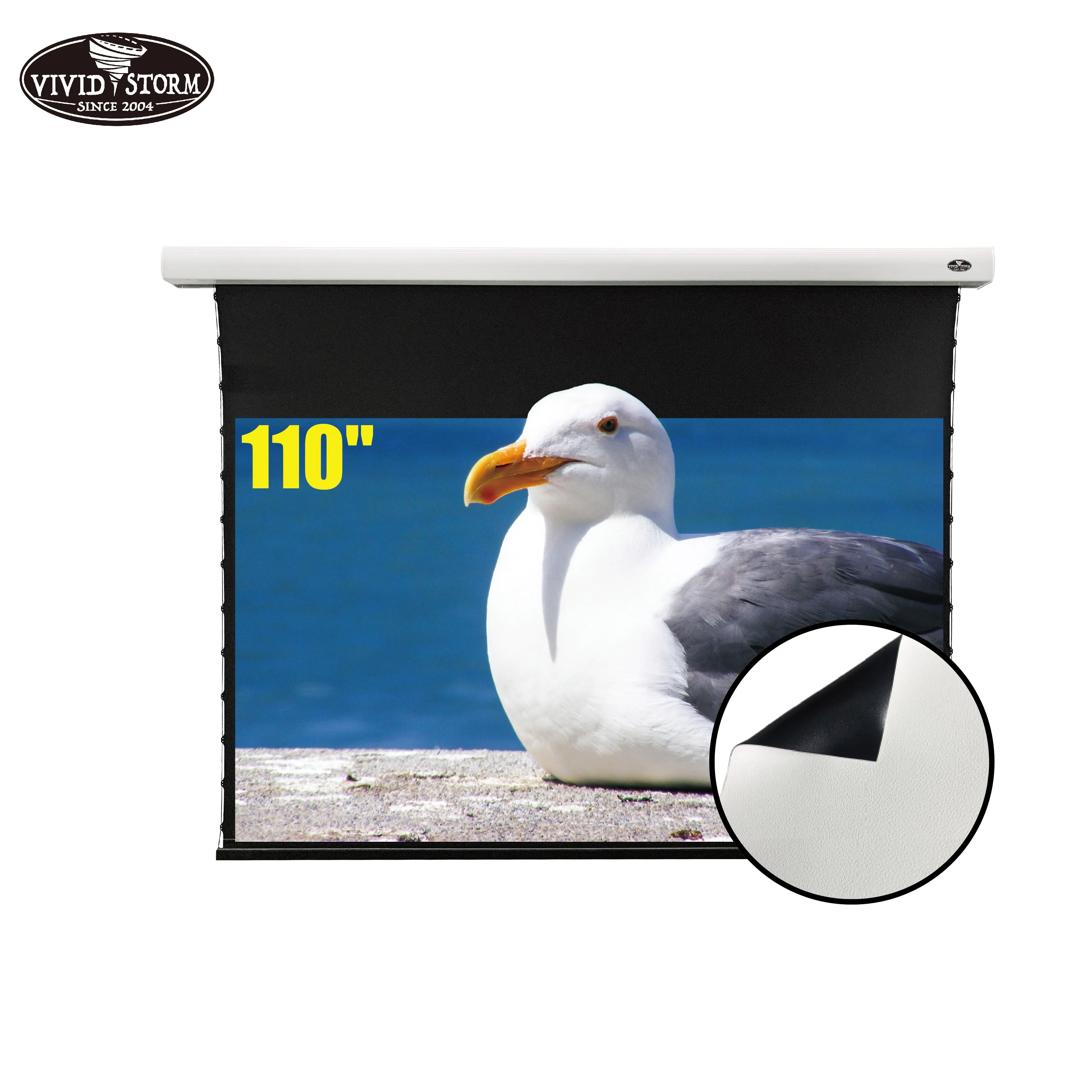 Vividstorm Slimline Electric Tab Tensioned Drop Down Screen 110 Inch 16 9 Ceiling And Wall White Cinema Vmslw110h Buy 110 Tab Tension Motorized Projection Screen White Cinema Drop Down Screen Ceiling And Wall Projector Screen Product On Alibaba Com