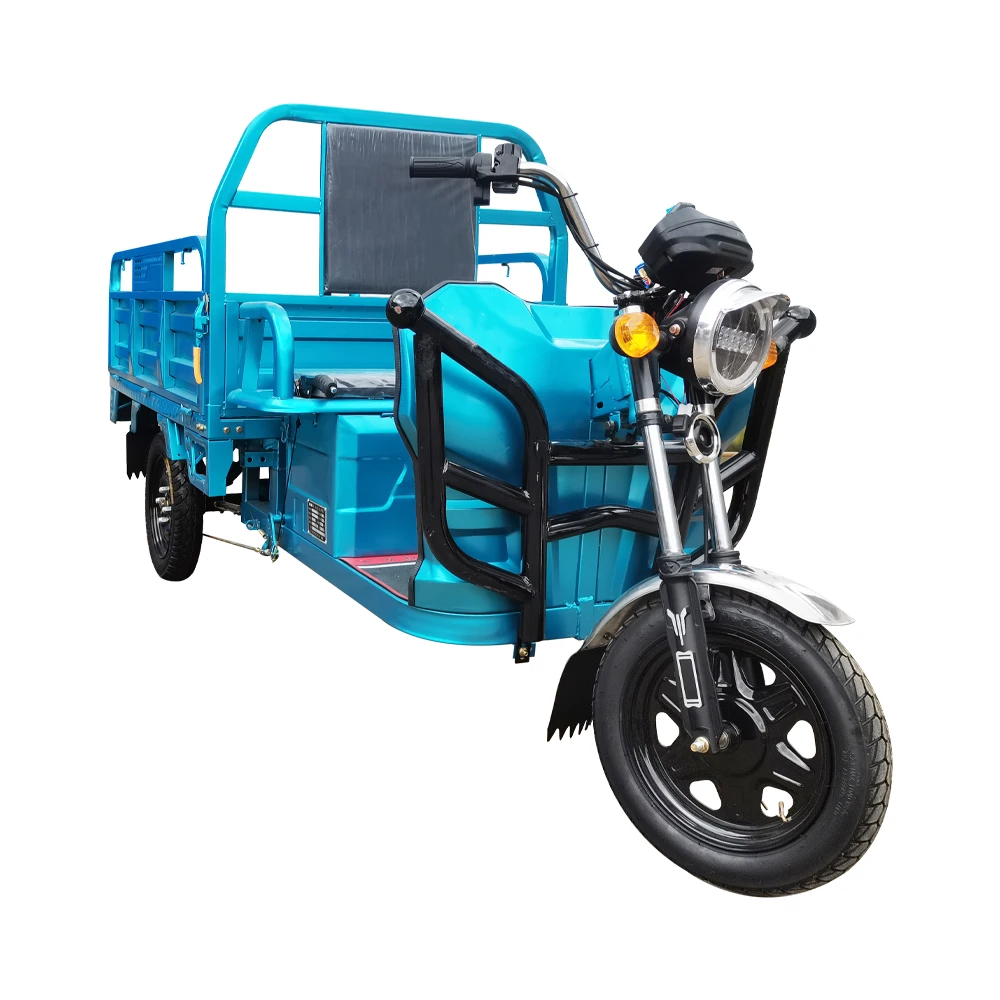3 Wheel Cargo Electric Tricycles Motorcycle Three Wheel Adult Electric