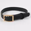 dog collar color 4