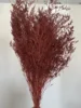 rosso scuro