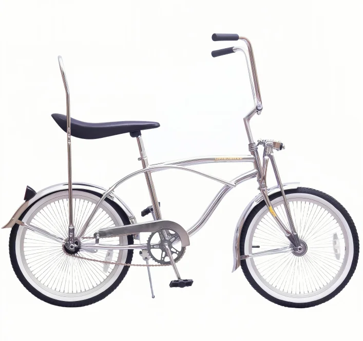 20 Inch Silver Lowrider Bike - Customizable Steel Frame, Coaster
