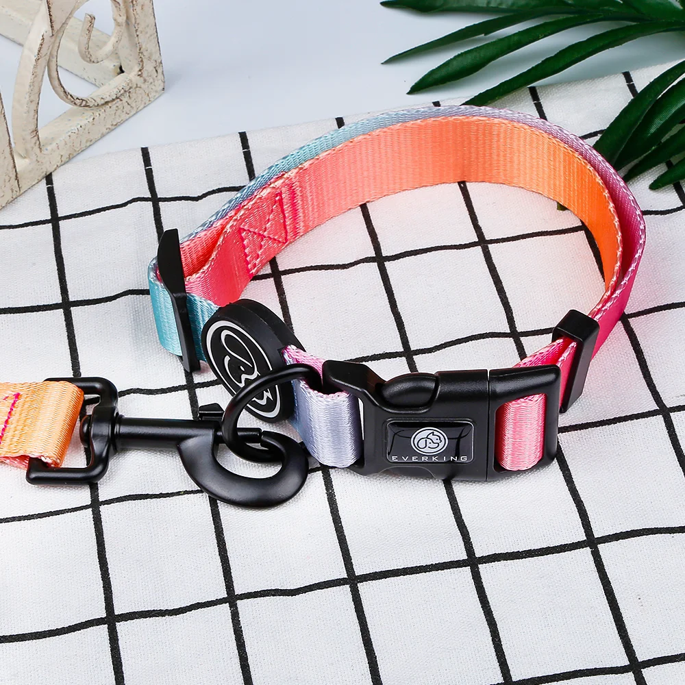 Gradient Color Bravecto Nylon Luxury Pet Collar High Quality Dog Collar Chien Buy Nylon Dog