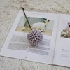 ม่วง-ขาว