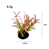 A006 สีสันสดใส
