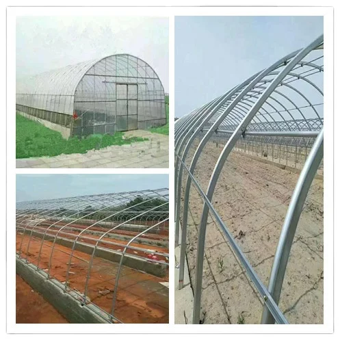 greenhouse 