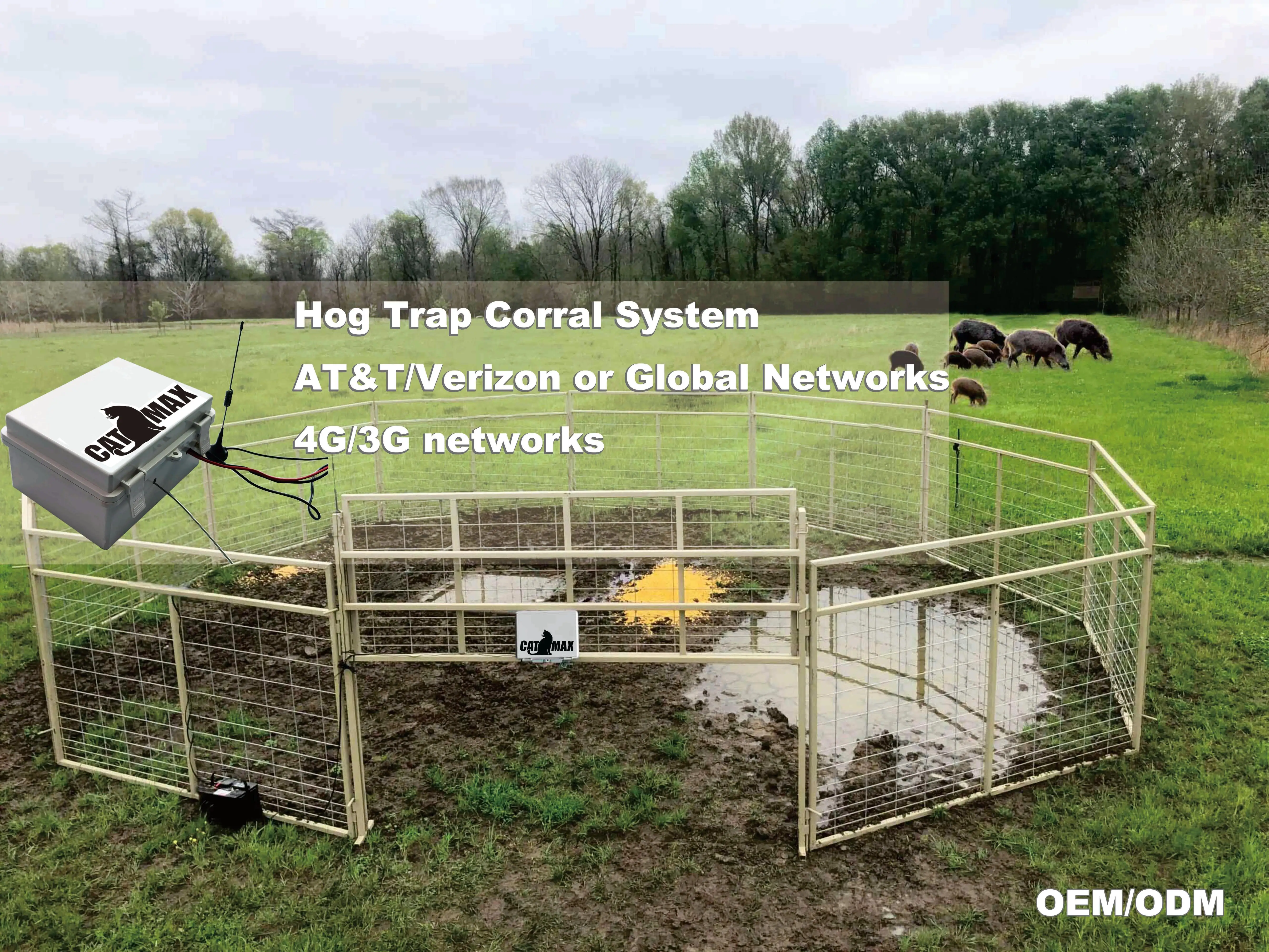 Outdoor Hunting Feral Hogs Control Big Animal Hog Wild Boar Pig Trap For  Sale - Buy Hog Traps,Trap Corral Systems,Feral Hog Trap System Product on  Alibaba.com