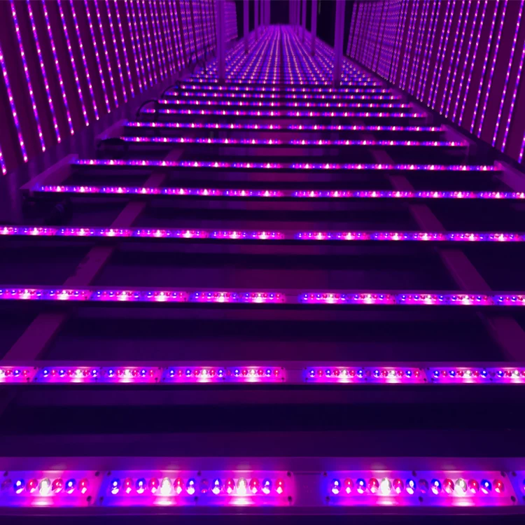 Designed for Vertical Farming bar Light Hydroponics Grow Light Led for Veg Growth 18w 36w 60w
