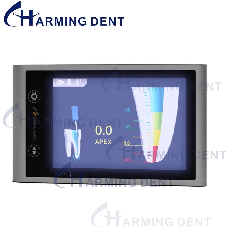 Supporto Per Lima Per Localizzatore Apicale Dentale – 2 Pezzi, Grigio