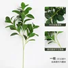 3-fork Gluten-coated broad bean leaves