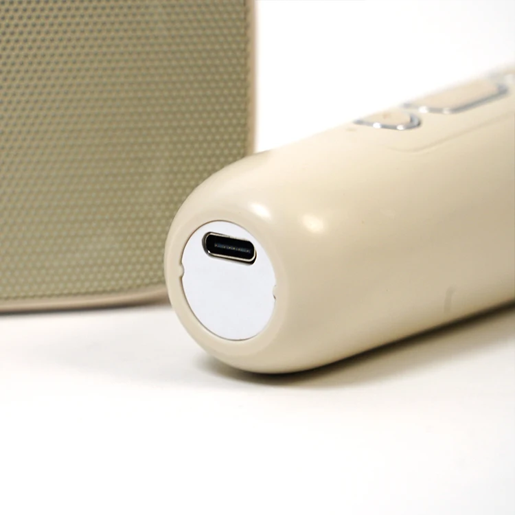 New Mini Portable Bluetooth Speaker With Wireless Microphone Music Player Toys Gifts for Boys Girls