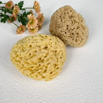 Mesh Net Packaging Body Cleaning Material Natural Dead Sea Sponge From Greece Brown Soft Honey Comb Wool Sea Sponge
