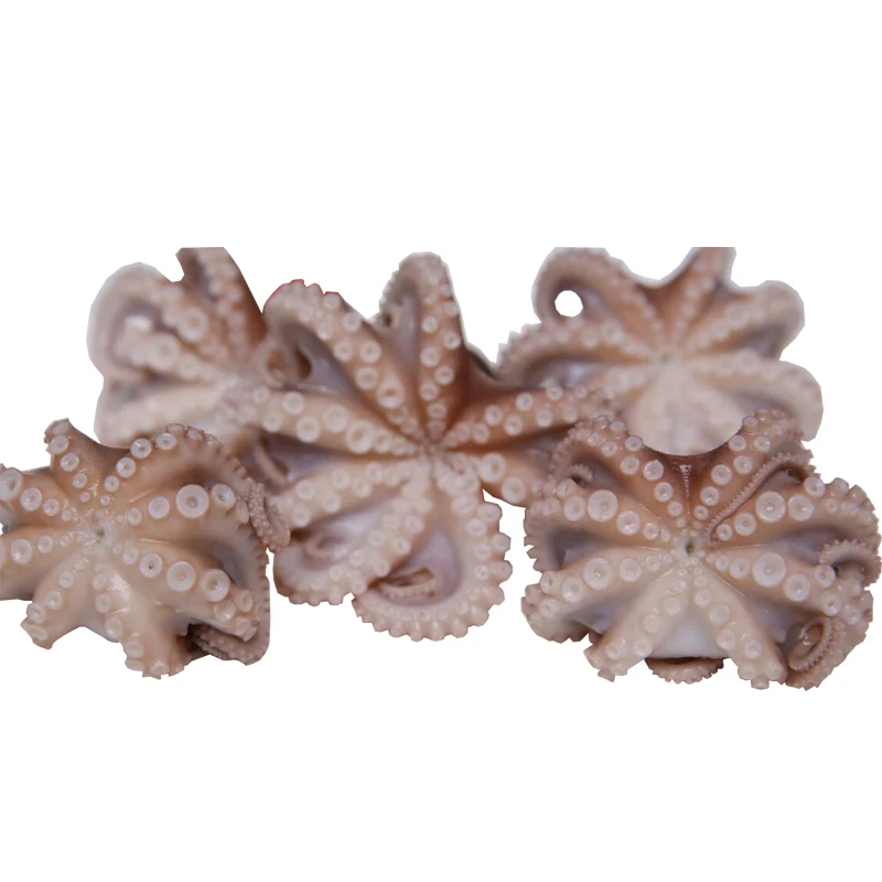 中国シーフードiqf寿司食品味付け赤ちゃんタコ製造 Buy 寿司の食品製造ベテラン赤ちゃんタコ 高品質の寿司食品製造ベテラン赤ちゃんタコ 寿司の食品製造ベテラン赤ちゃんタコ詳細 Product On Alibaba Com