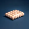 20-grid egg box