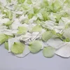 natural petals confetti