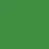 Vert gui (10502)