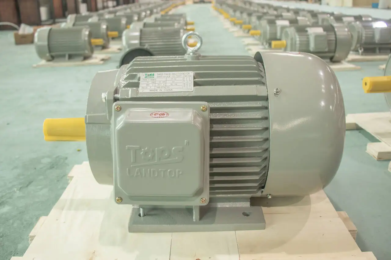 LANDTOP Induction Motor Electric Motor Factory Supply 3 Phase 0.75 KW to 315kw Cast Iron Housing Electric Motor Price IE 1