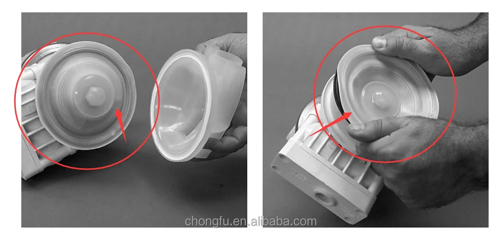 Rubber Diaphragm 01-1010-55 PTFE Diaphragm for Air operated AODD Pneumatic Diaphragm Pump factory