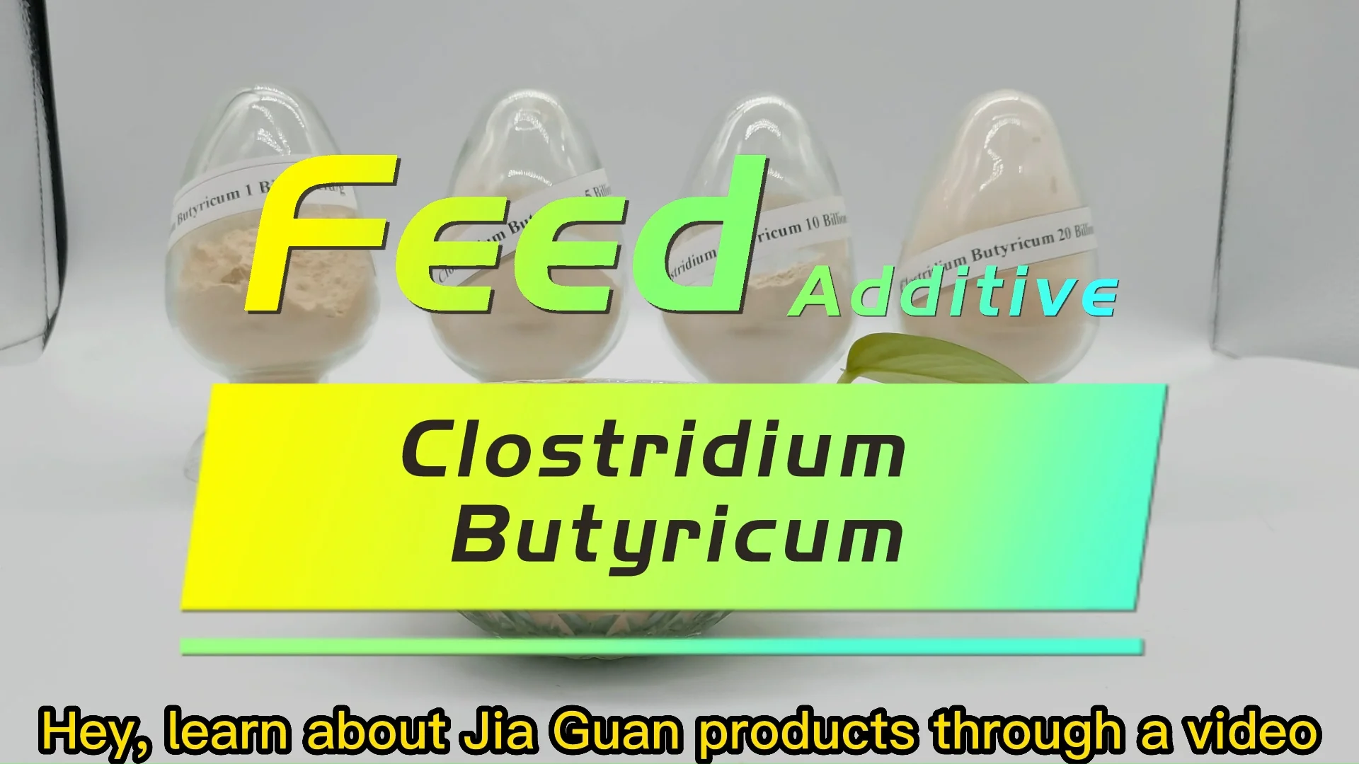 Probiotics Cattle Feed Weight Gain And Growth Booster Poultry Animal