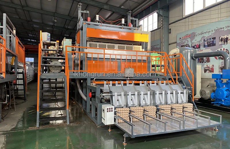 Automatic Paper Pulp Molding Machine Customize Logo Egg Carton Tray ...