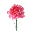Rosa oscuro