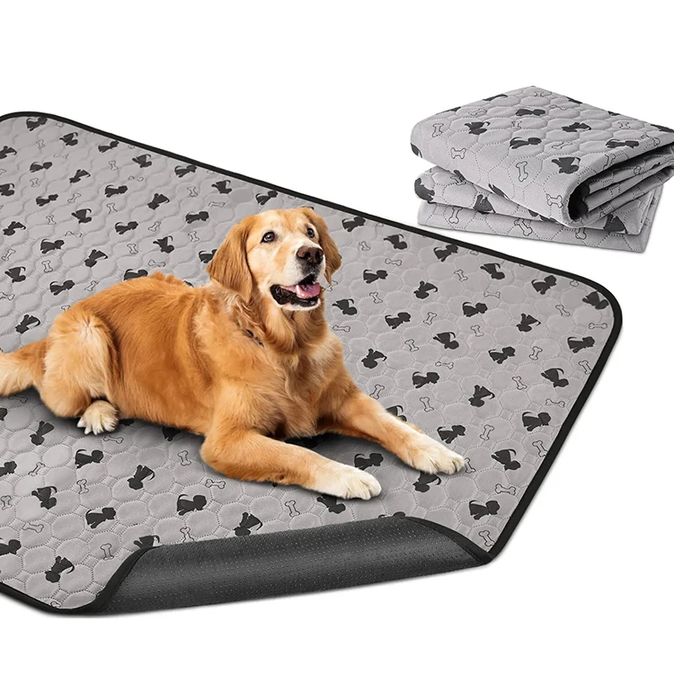 Pet Toilet Training Pads