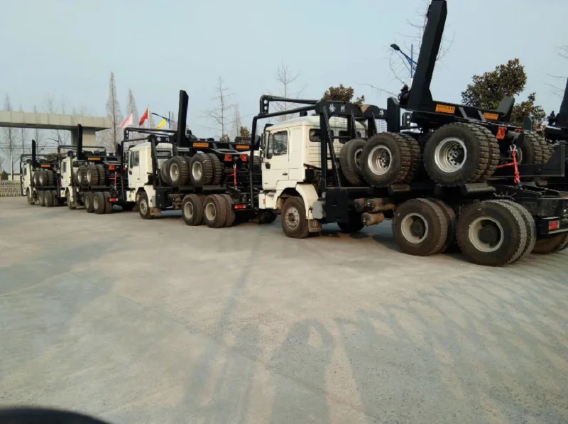 Cost effective max speed 105km/h strong power 385HP 6 cylinders 12 speed manual gearbox lhd cargo truck