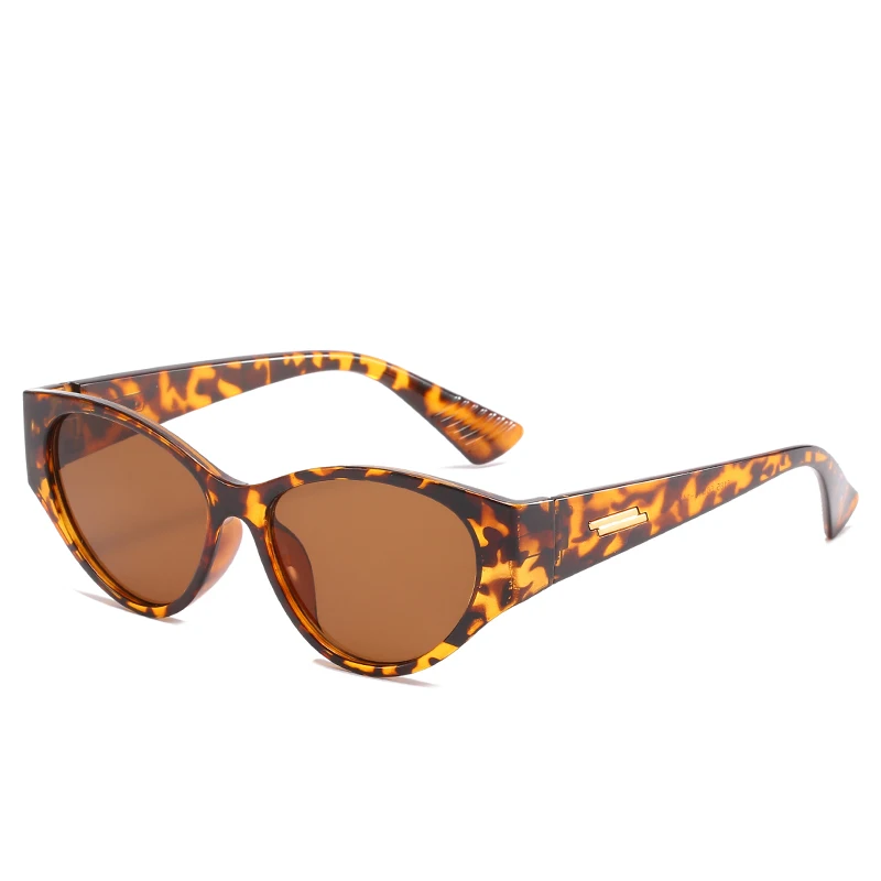 Cat Eye Tinted Lens Sunglasses Cat Eye Sunglasses Sun Glasses Brand Designer New Cat Eye Women Sunglasses