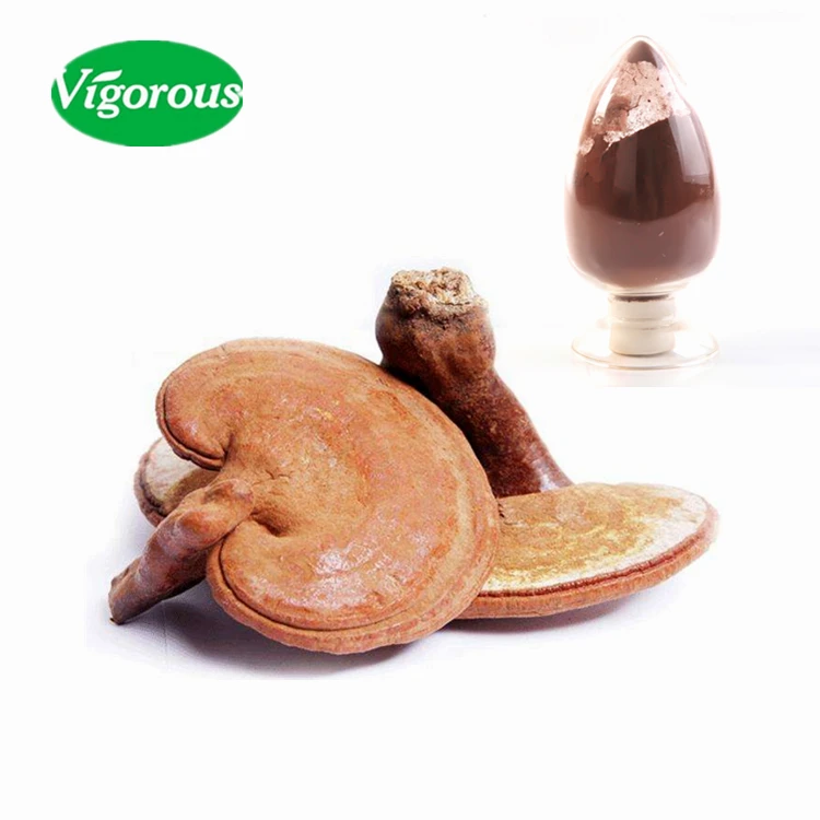 
 Чистый натуральный экстракт грибов рейши для здравоохранения  