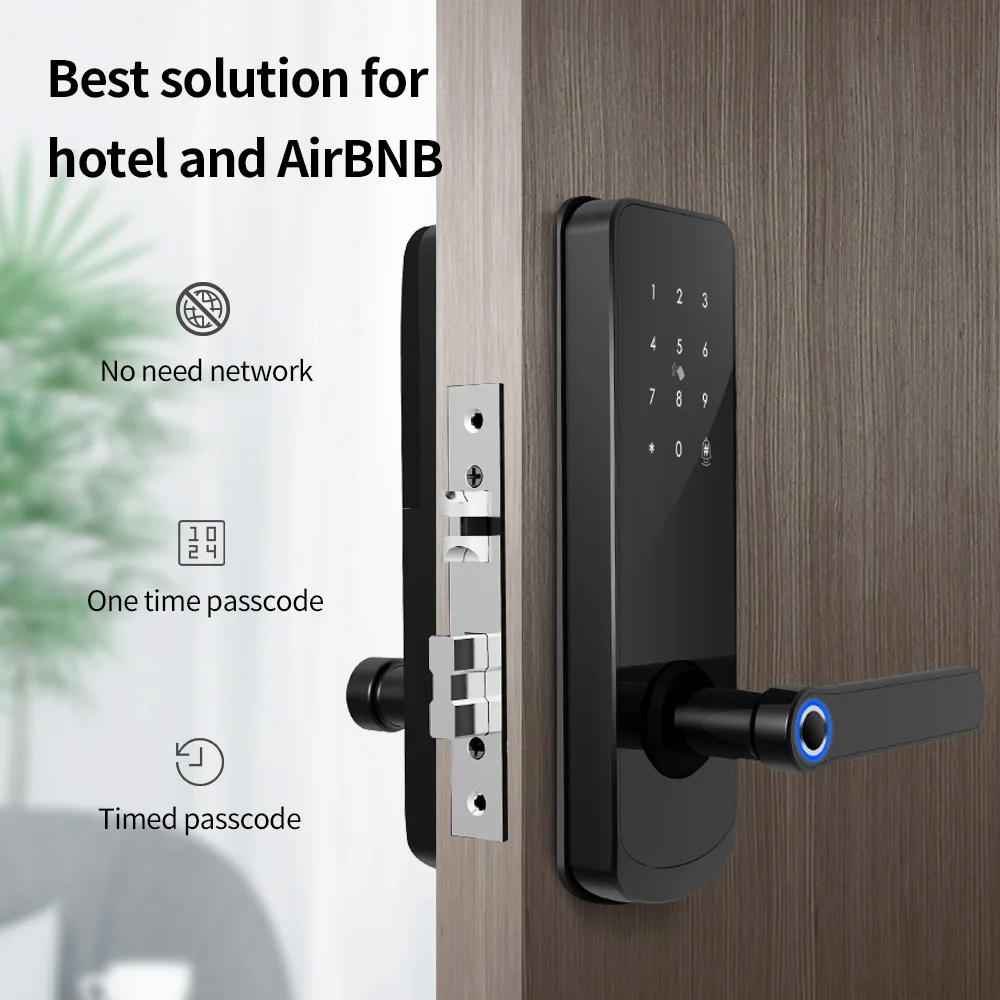 Door Handle Wireless Biometric Fingerprint Digital Cylinder Wifi Smart Double Tuya Access 8829