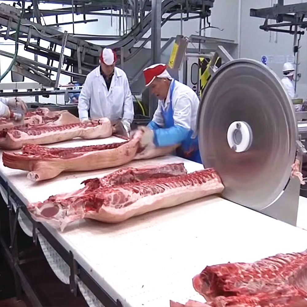 Pig slaughterhouse equipment new pig slaughtering production line with pig soaring band saw