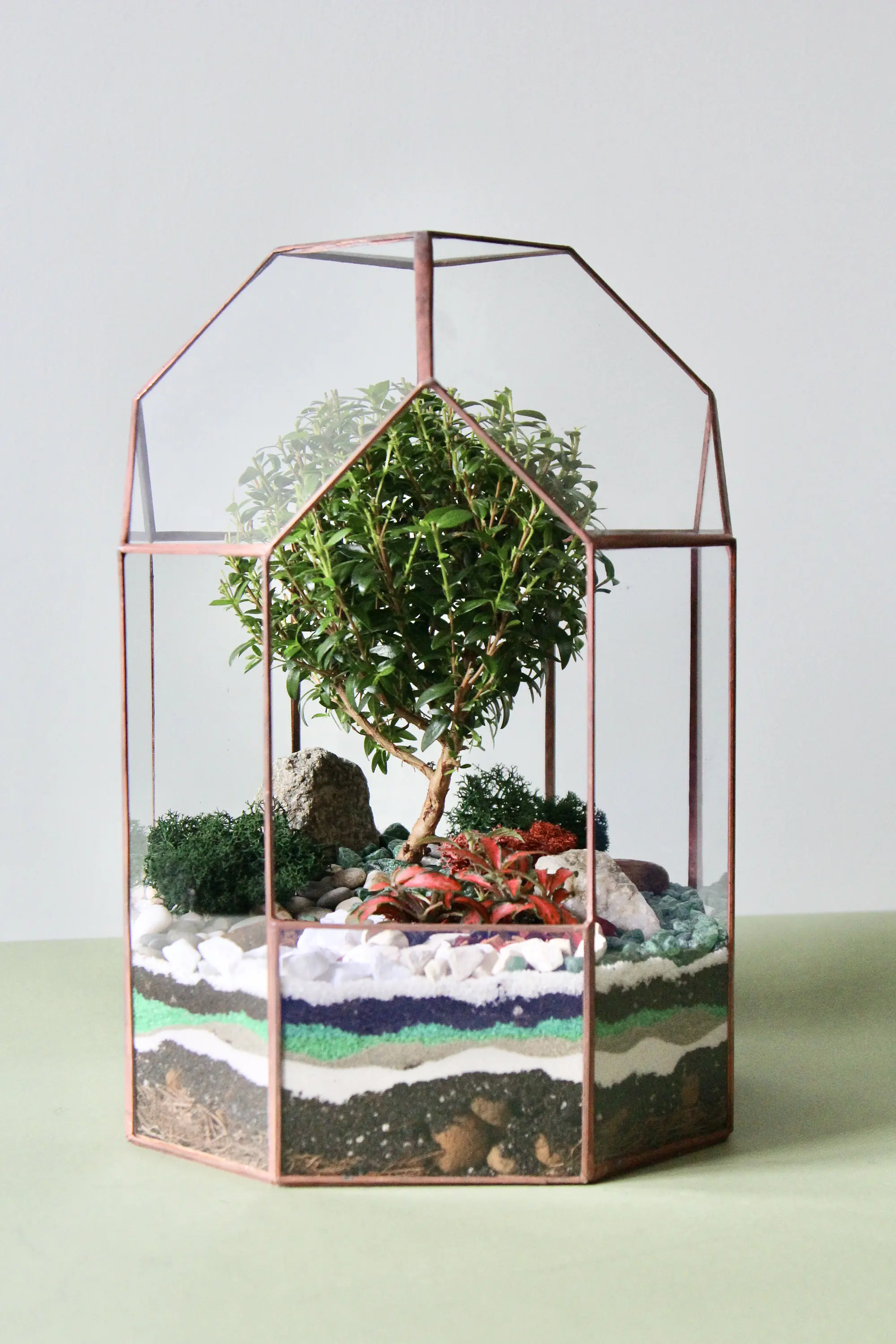 Glass Terrarium Kit Diamond Shape Glass Terrarium Plant Sarufo Glass Plant  Terrarium Kit