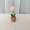 Planta de tulipán amarillo en maceta.