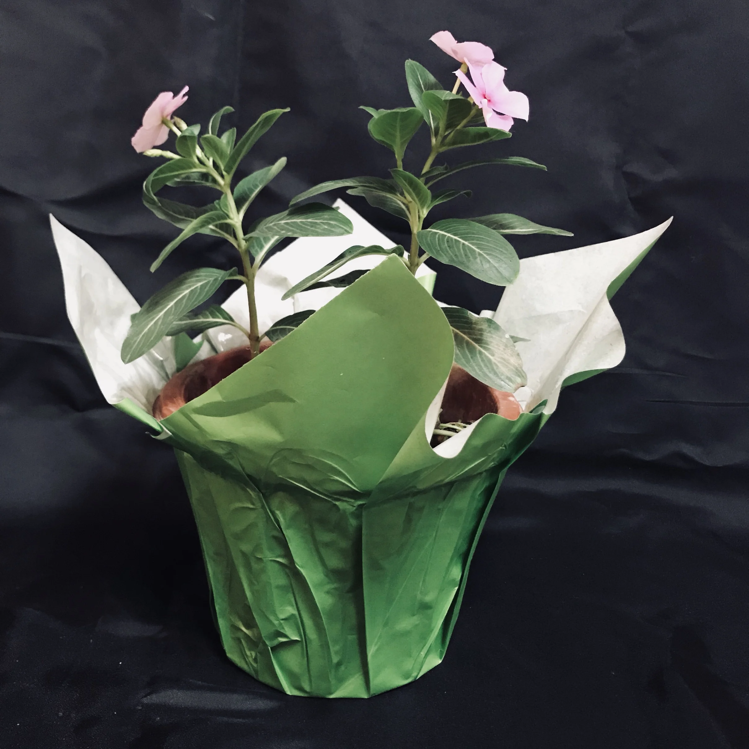 tall plastic planter pots Wave Planter 20X24 White 2 Pack from Step2