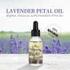 Lavanda