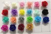 Colori