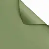 pino marino verde