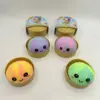 Grand transporteur arc-en-ciel de 10 cm avec cage (couleur aléatoire)