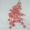 Rosa, StyleB #9