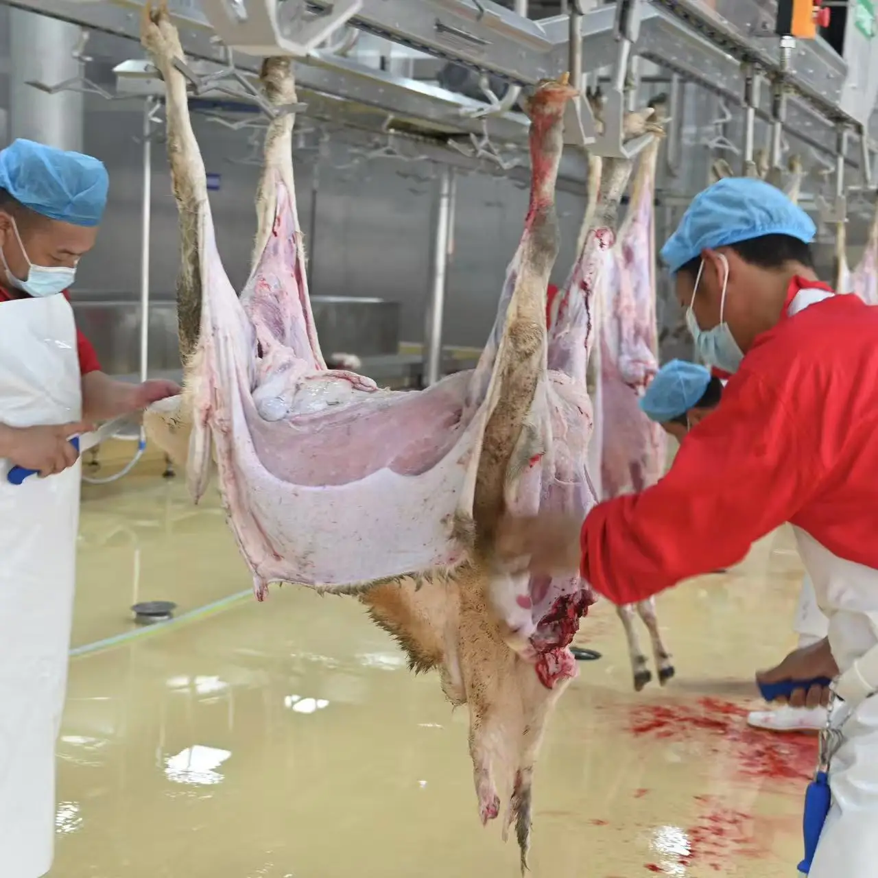 Complete halal sheep slaughterhouse equipment for mutton and goat processing
