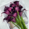 Dark Purple